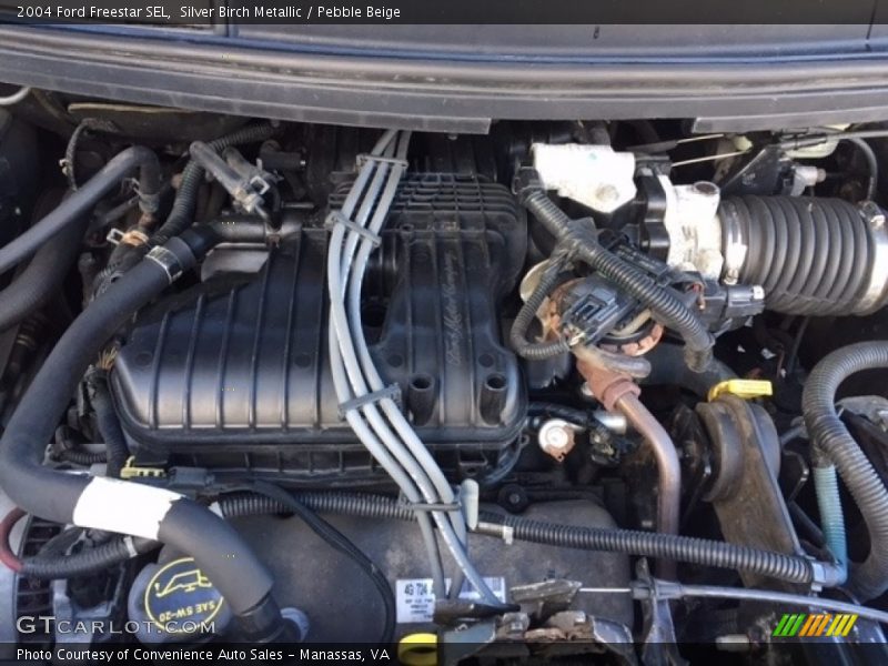 Silver Birch Metallic / Pebble Beige 2004 Ford Freestar SEL