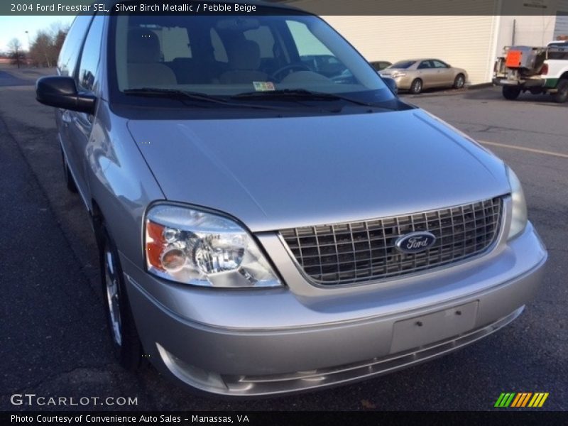 Silver Birch Metallic / Pebble Beige 2004 Ford Freestar SEL