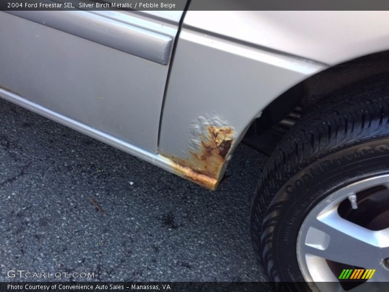 Silver Birch Metallic / Pebble Beige 2004 Ford Freestar SEL