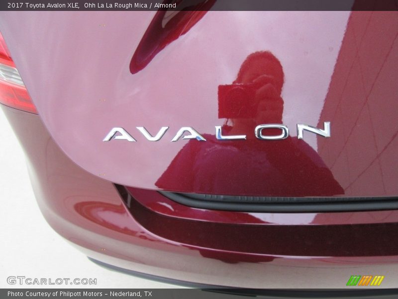 Ohh La La Rough Mica / Almond 2017 Toyota Avalon XLE