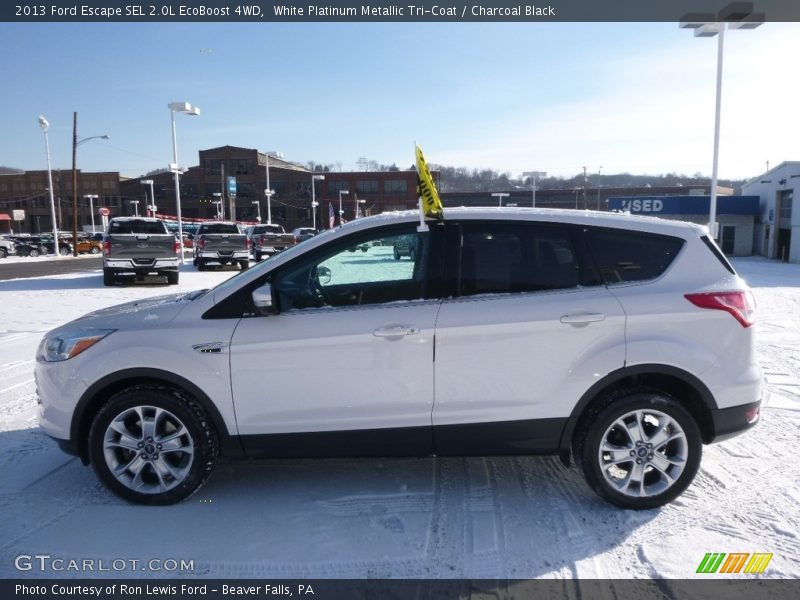 White Platinum Metallic Tri-Coat / Charcoal Black 2013 Ford Escape SEL 2.0L EcoBoost 4WD