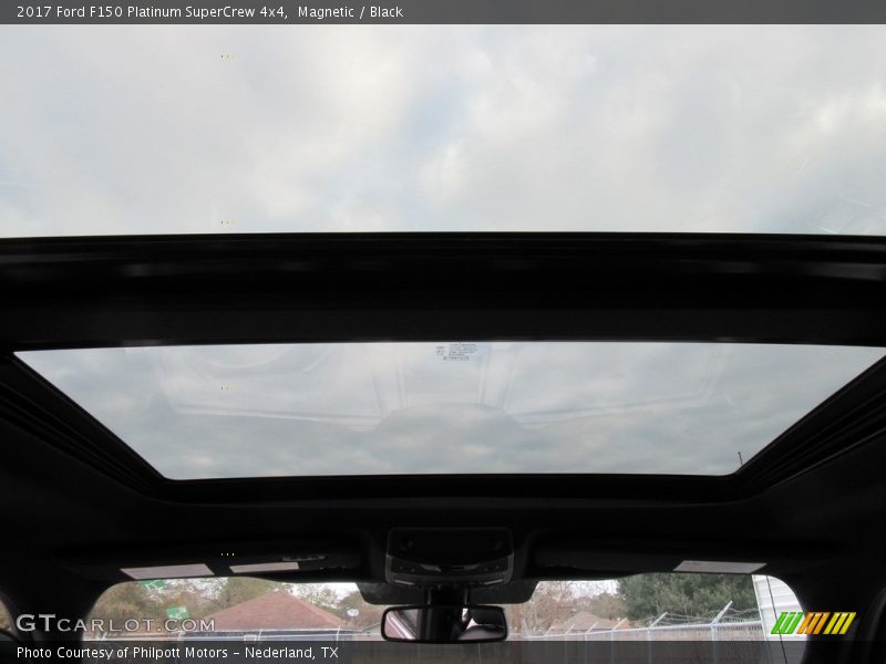 Magnetic / Black 2017 Ford F150 Platinum SuperCrew 4x4
