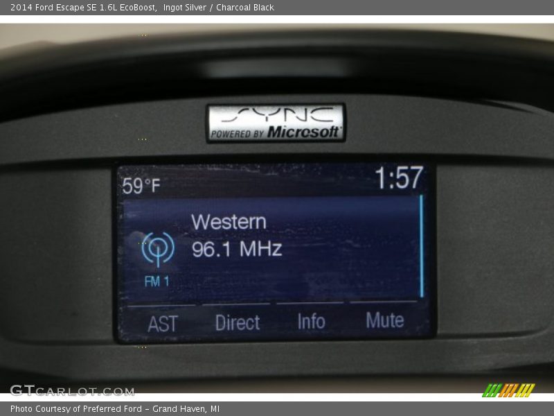 Ingot Silver / Charcoal Black 2014 Ford Escape SE 1.6L EcoBoost