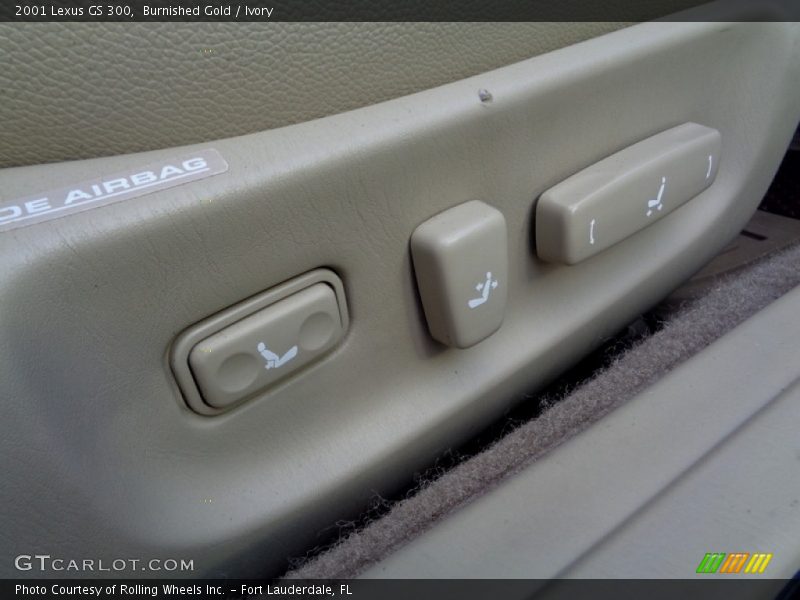 Burnished Gold / Ivory 2001 Lexus GS 300