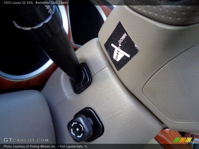 Burnished Gold / Ivory 2001 Lexus GS 300