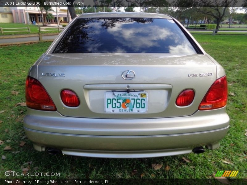 Burnished Gold / Ivory 2001 Lexus GS 300