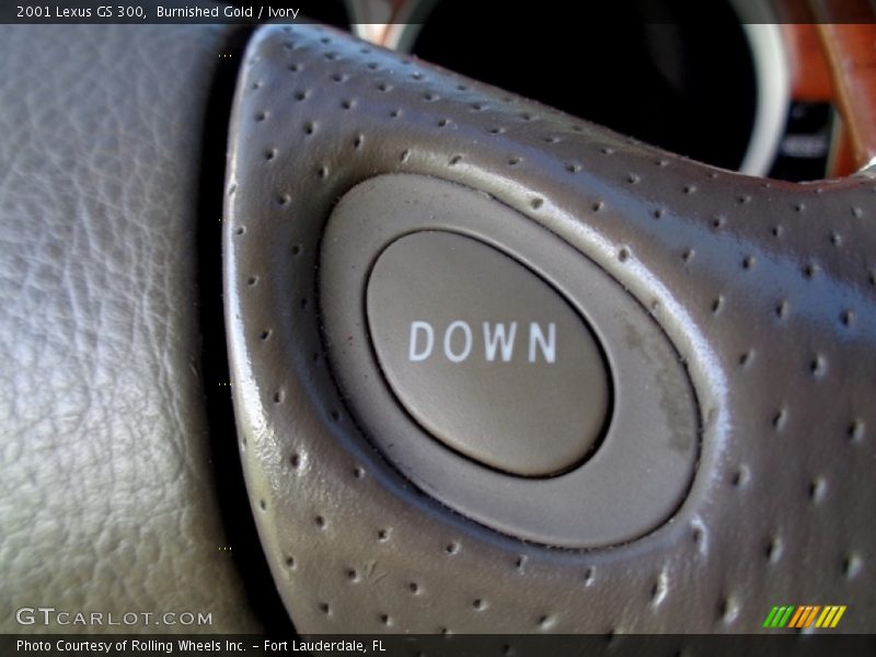 Burnished Gold / Ivory 2001 Lexus GS 300