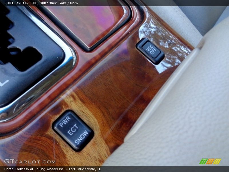Burnished Gold / Ivory 2001 Lexus GS 300
