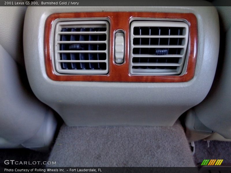 Burnished Gold / Ivory 2001 Lexus GS 300