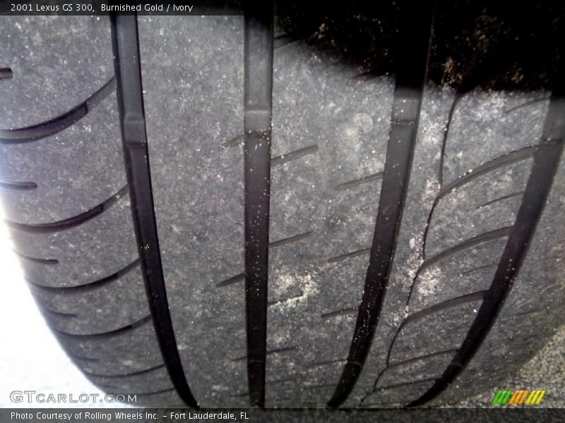 Burnished Gold / Ivory 2001 Lexus GS 300