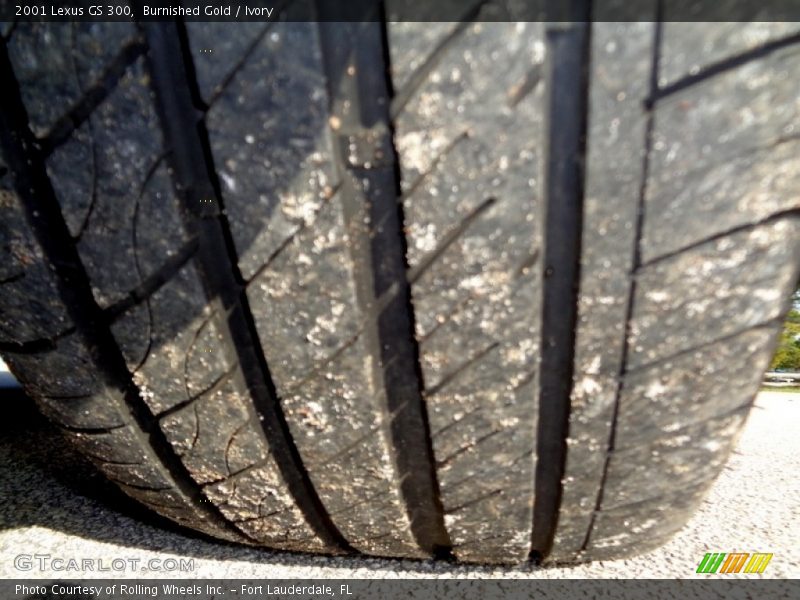 Burnished Gold / Ivory 2001 Lexus GS 300