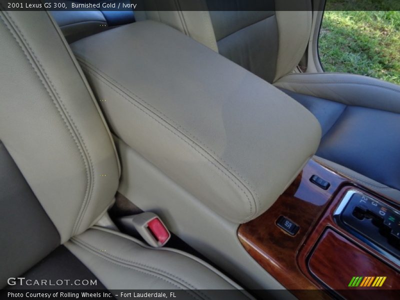 Burnished Gold / Ivory 2001 Lexus GS 300