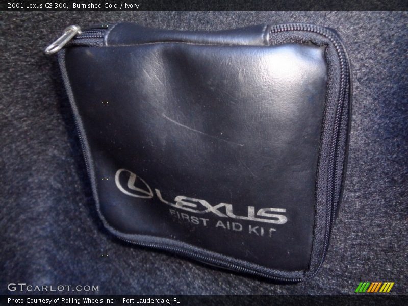Burnished Gold / Ivory 2001 Lexus GS 300