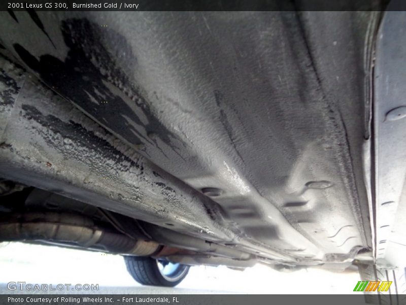 Burnished Gold / Ivory 2001 Lexus GS 300