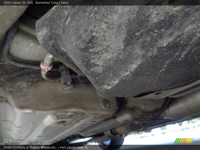 Burnished Gold / Ivory 2001 Lexus GS 300