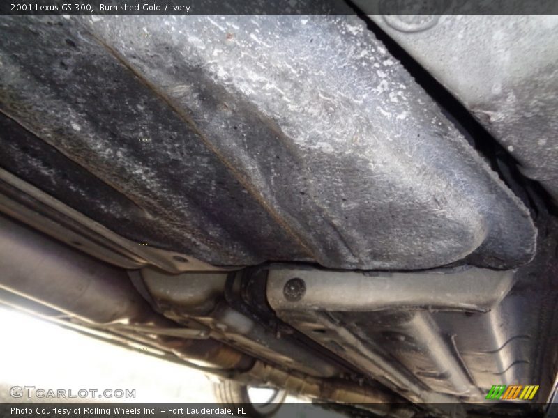 Burnished Gold / Ivory 2001 Lexus GS 300