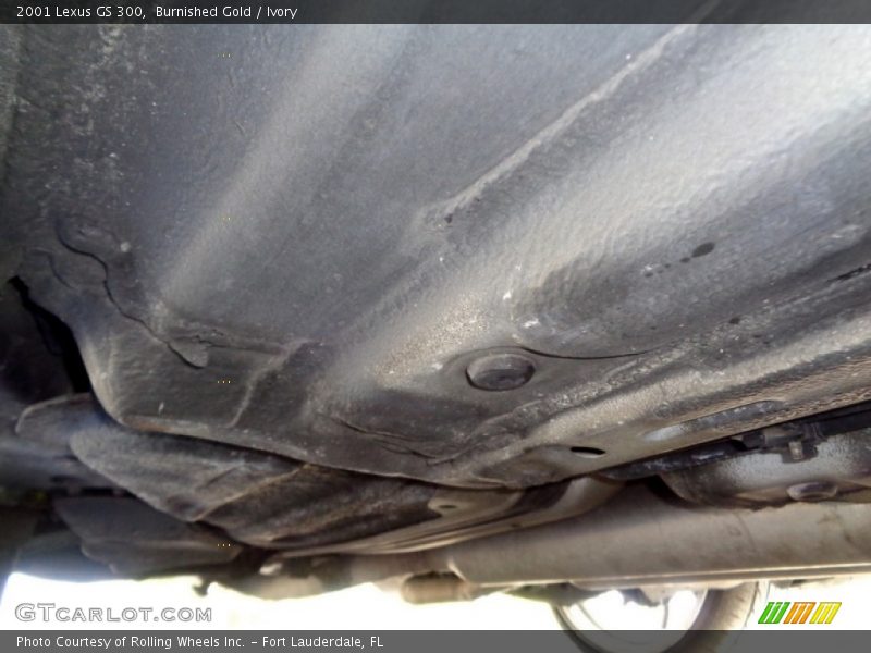 Burnished Gold / Ivory 2001 Lexus GS 300