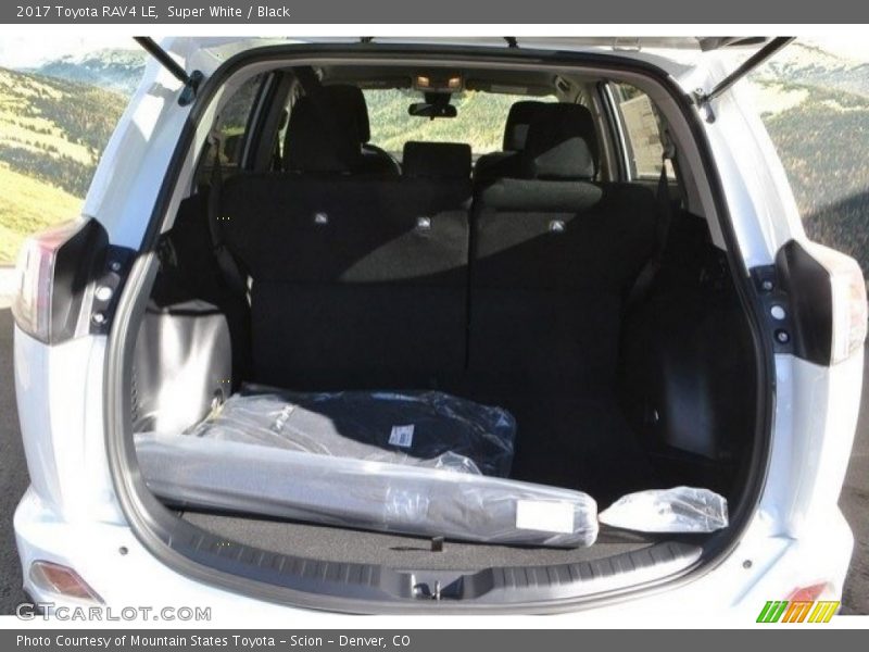 Super White / Black 2017 Toyota RAV4 LE