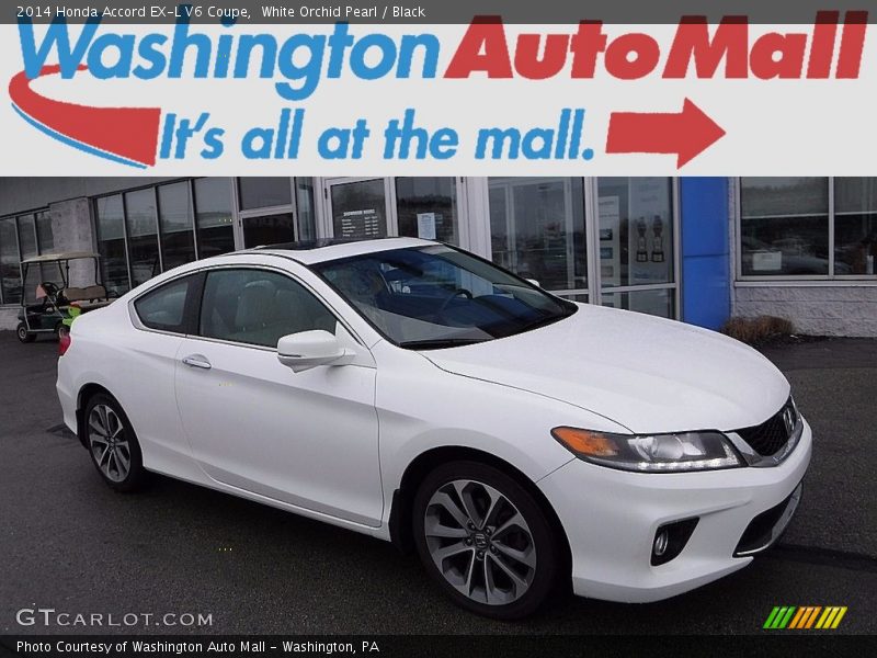 White Orchid Pearl / Black 2014 Honda Accord EX-L V6 Coupe