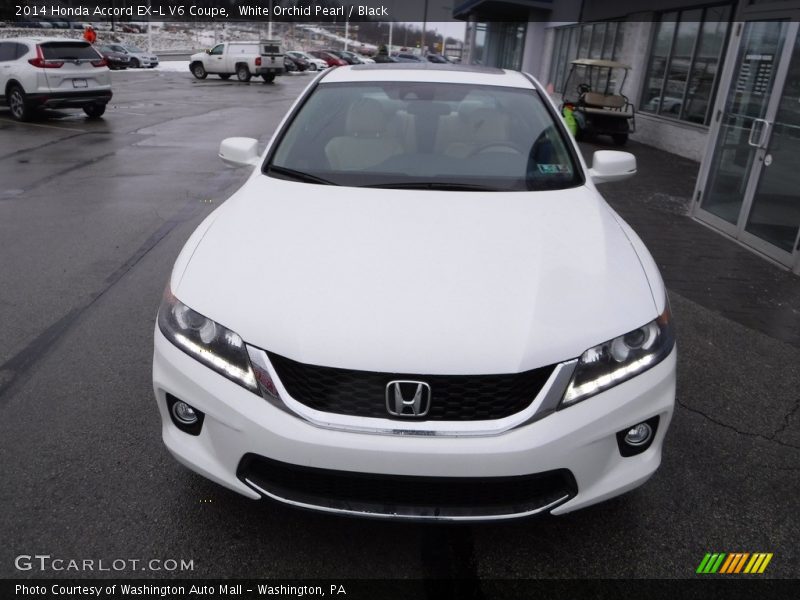 White Orchid Pearl / Black 2014 Honda Accord EX-L V6 Coupe