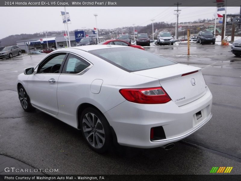 White Orchid Pearl / Black 2014 Honda Accord EX-L V6 Coupe