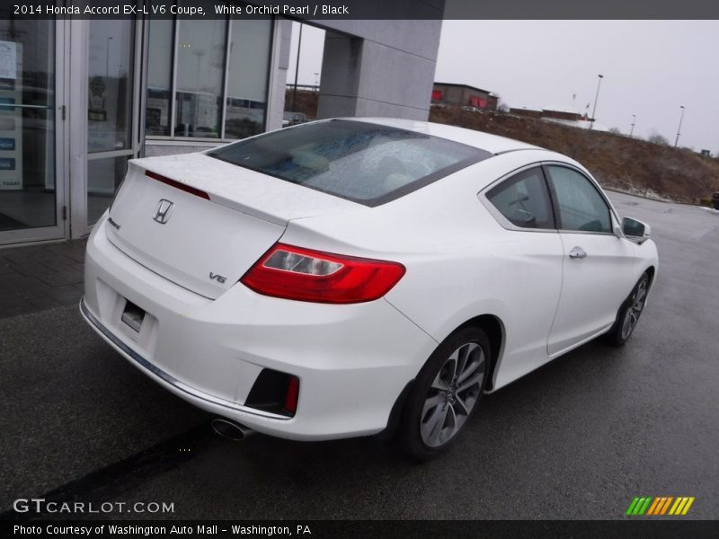 White Orchid Pearl / Black 2014 Honda Accord EX-L V6 Coupe