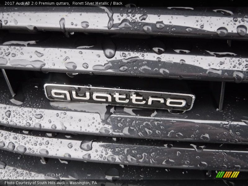 Florett Silver Metallic / Black 2017 Audi A3 2.0 Premium quttaro