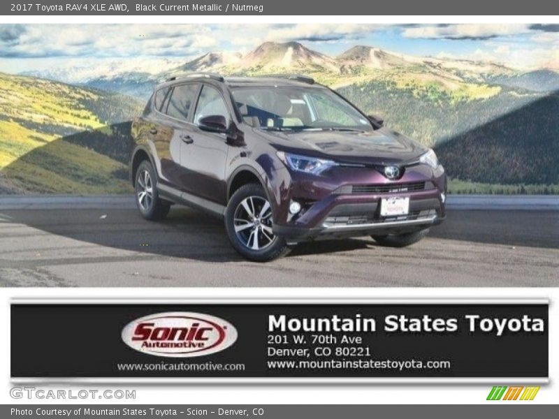Black Current Metallic / Nutmeg 2017 Toyota RAV4 XLE AWD