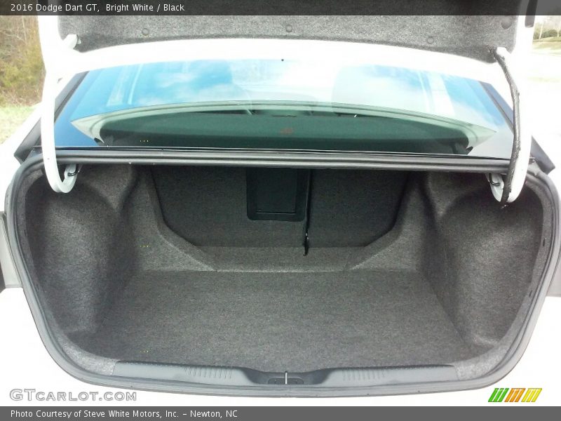 Bright White / Black 2016 Dodge Dart GT