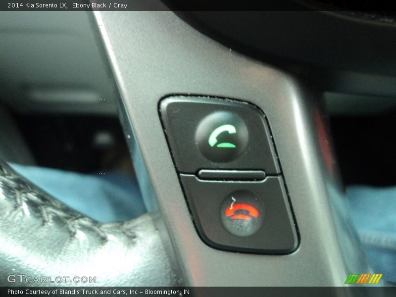 Ebony Black / Gray 2014 Kia Sorento LX