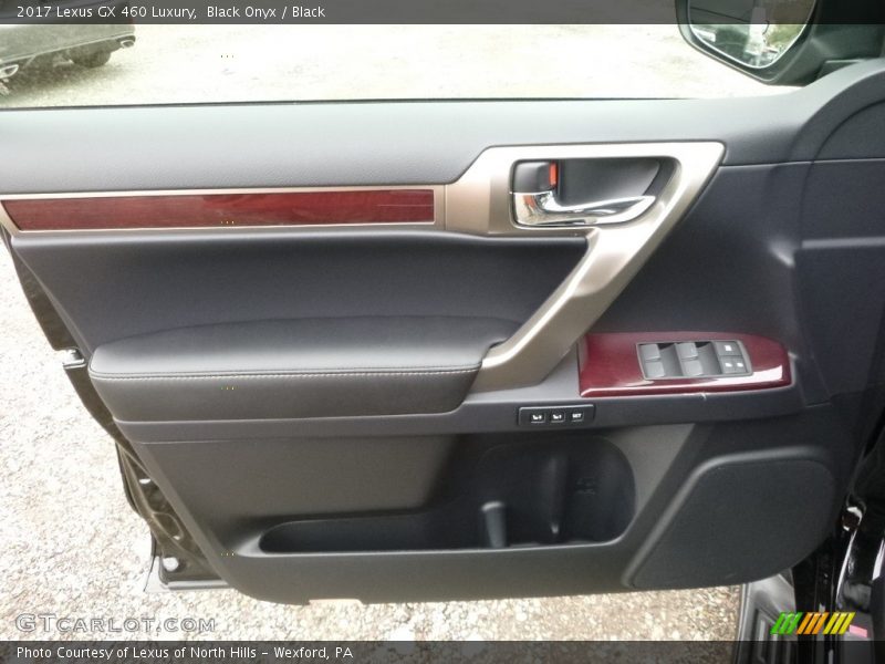 Door Panel of 2017 GX 460 Luxury