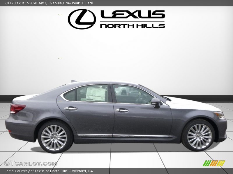 Nebula Gray Pearl / Black 2017 Lexus LS 460 AWD