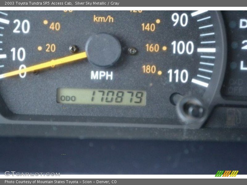 Silver Sky Metallic / Gray 2003 Toyota Tundra SR5 Access Cab