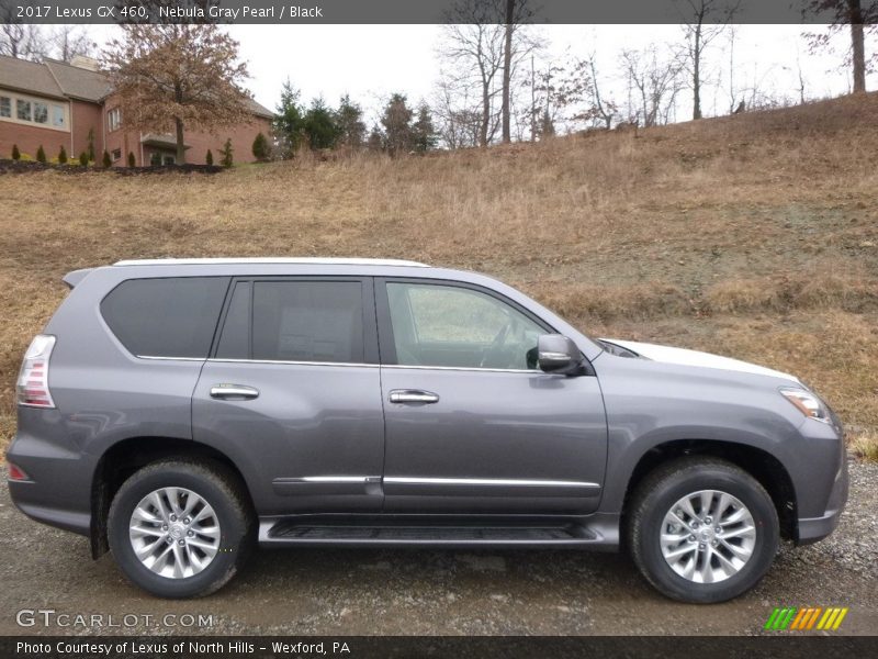 Nebula Gray Pearl / Black 2017 Lexus GX 460