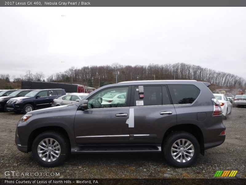 Nebula Gray Pearl / Black 2017 Lexus GX 460