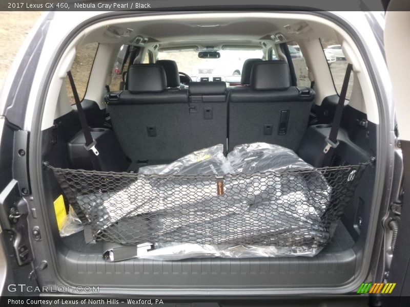 Nebula Gray Pearl / Black 2017 Lexus GX 460