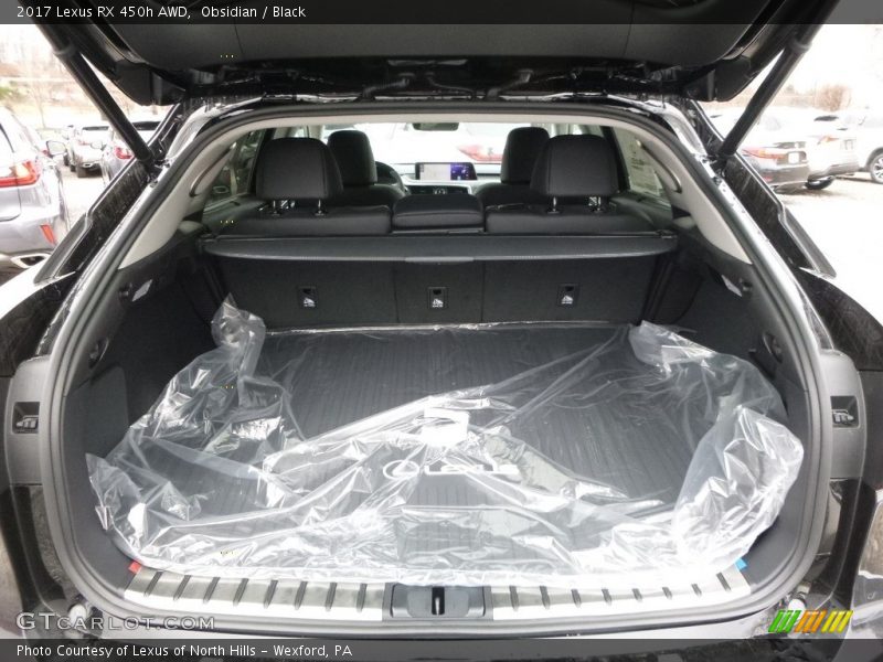  2017 RX 450h AWD Trunk