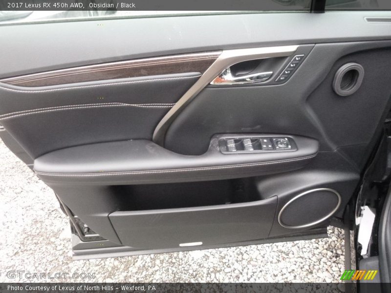 Door Panel of 2017 RX 450h AWD