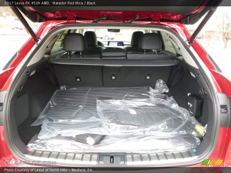  2017 RX 450h AWD Trunk