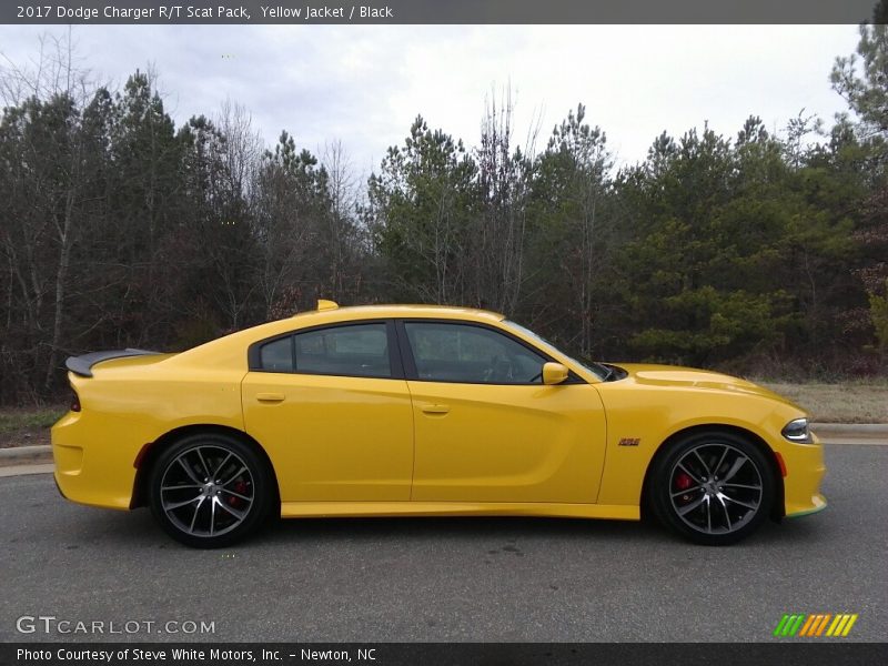 Yellow Jacket / Black 2017 Dodge Charger R/T Scat Pack