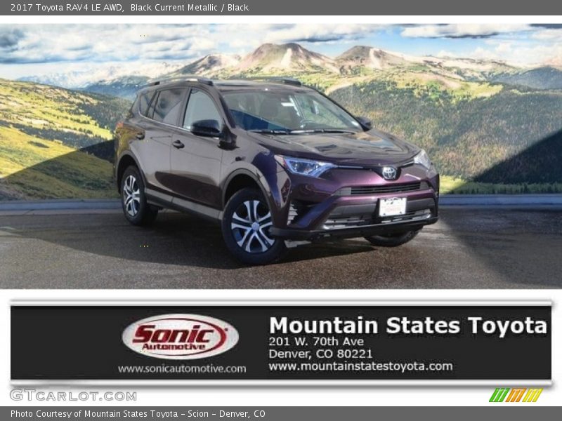 Black Current Metallic / Black 2017 Toyota RAV4 LE AWD