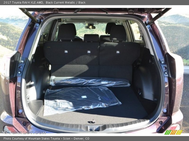Black Current Metallic / Black 2017 Toyota RAV4 XLE AWD