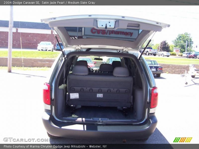 Satin Jade Pearl / Medium Slate Gray 2004 Dodge Caravan SE