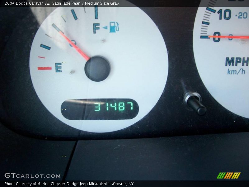 Satin Jade Pearl / Medium Slate Gray 2004 Dodge Caravan SE