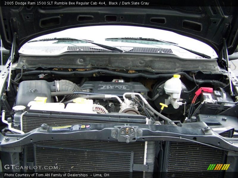 Black / Dark Slate Gray 2005 Dodge Ram 1500 SLT Rumble Bee Regular Cab 4x4
