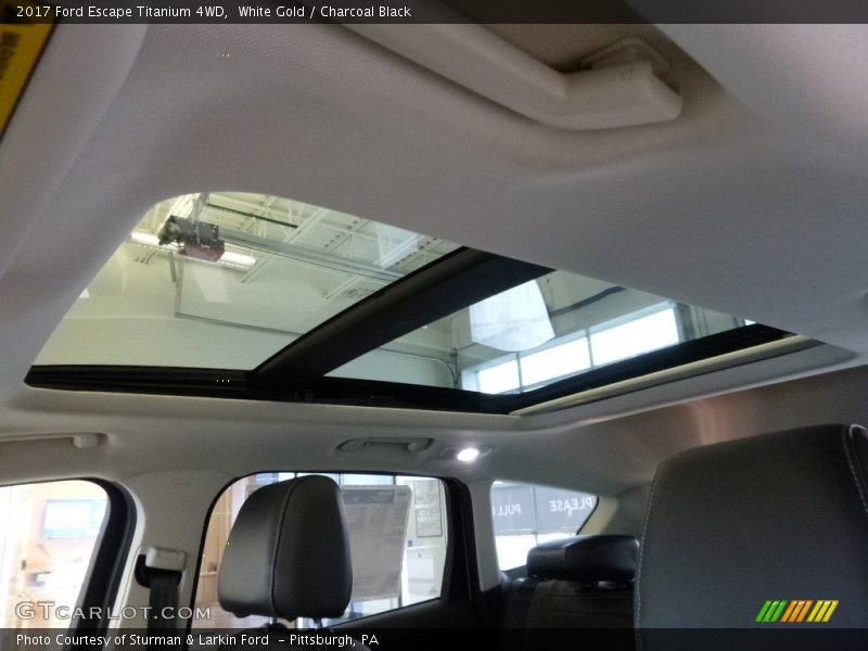 White Gold / Charcoal Black 2017 Ford Escape Titanium 4WD