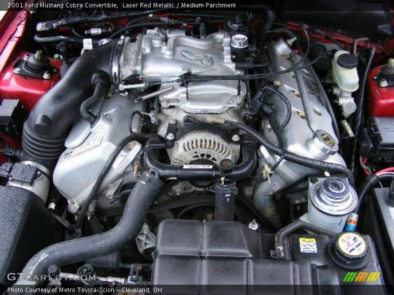 Laser Red Metallic / Medium Parchment 2001 Ford Mustang Cobra Convertible
