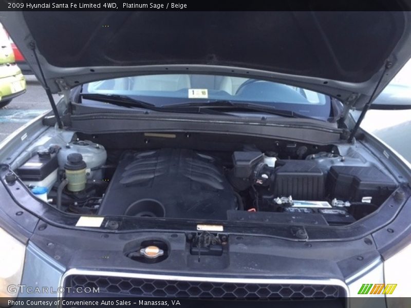 Platinum Sage / Beige 2009 Hyundai Santa Fe Limited 4WD