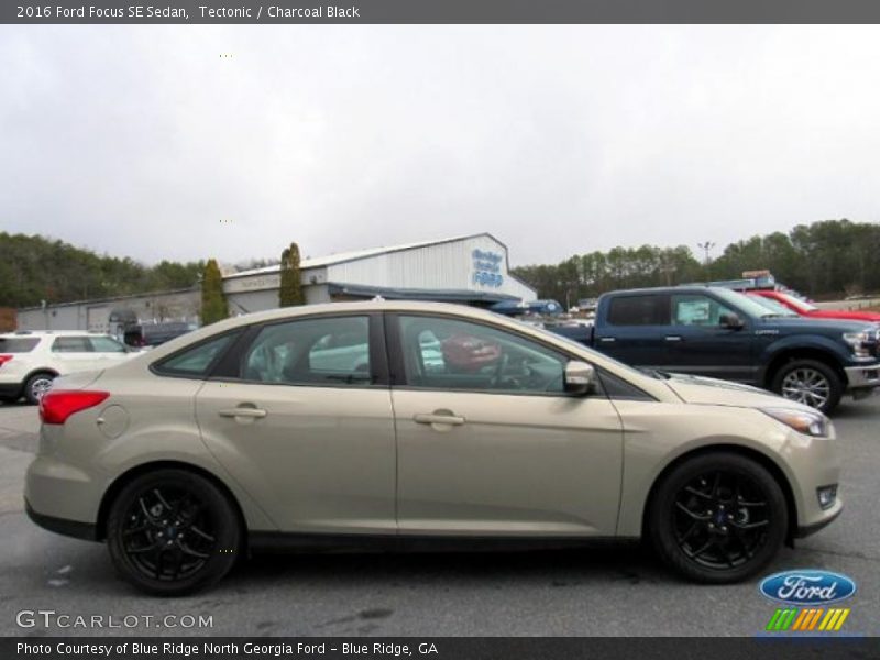 Tectonic / Charcoal Black 2016 Ford Focus SE Sedan
