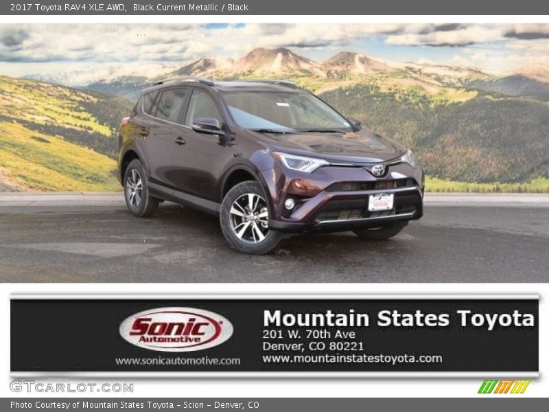 Black Current Metallic / Black 2017 Toyota RAV4 XLE AWD